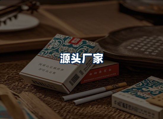 专业团队办公环境